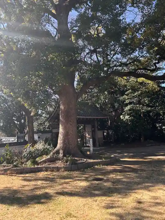 安泰寺(愛知県)