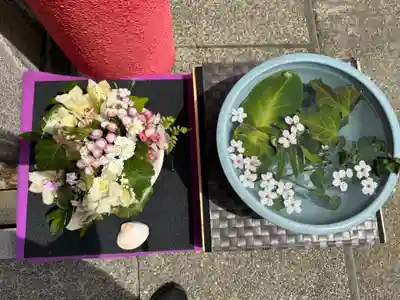 徳島眉山天神社(徳島県)