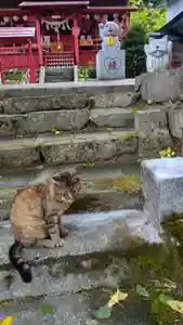 鹿角八坂神社の動物(2021年08月16日(月) 09時19分08秒投稿)