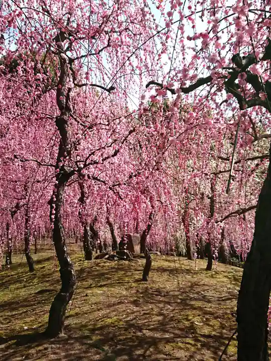城南宮(京都府)