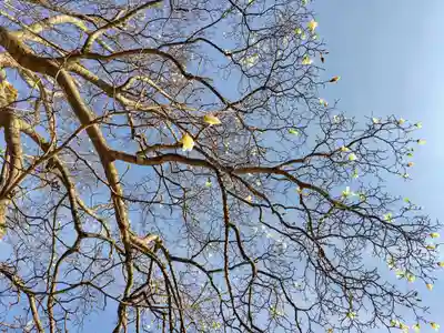 厚別神社(北海道)