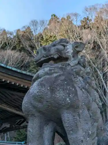 函館八幡宮の狛犬