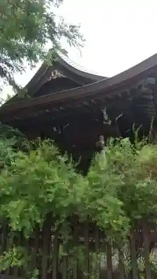 白髭神社の本殿・本堂