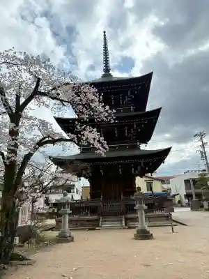 飛騨国分寺の{uncategorized: "未分類", other: "その他", undefined: "問題あり", building: "その他建物", grave: "お墓", sacred_gate: "鳥居", guardian: "狛犬", statue: "像", buddha: "仏像", history: "歴史", nature: "自然", garden: "庭園", animal: "動物", pagoda: "塔", temizu: "手水舎", mountain_gate: "山門・神門", sanctuary: "本殿・本堂", subordinate: "末社・摂社", art: "芸術", scenery: "景色", jizo: "地蔵", ema: "絵馬", goshuin: "御朱印", omikuji: "おみくじ", items: "授与品その他", amulet: "お守り", goshuincho: "御朱印帳", eats: "食事", festival: "お祭り", votive_dance: "神楽", shichigosan: "七五三参", wedding: "結婚式", experience: "体験その他", initially: "初詣", around: "周辺", anti_infection: "感染症対策"}