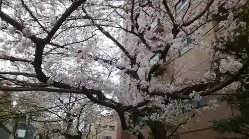 秋葉神社(東京都)