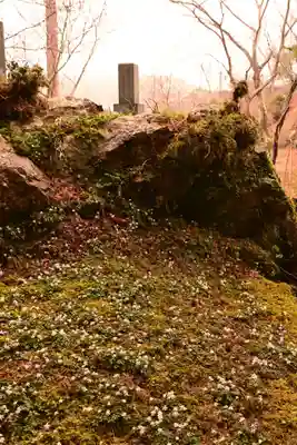 金峰神社(高知県)
