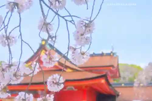 富士山本宮浅間大社(静岡県)