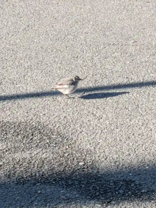 竹神社(三重県)