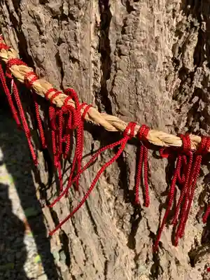 鹿角八坂神社の授与品その他