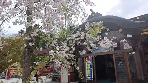 宮城縣護國神社の自然