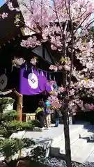 東京大神宮の本殿