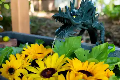 下野 星宮神社の手水舎