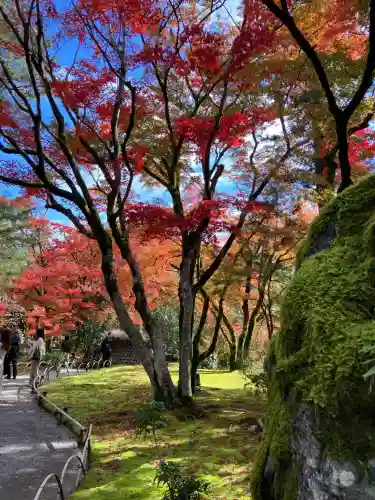 宝厳院(京都府)