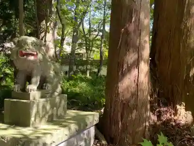 十和田神社の狛犬