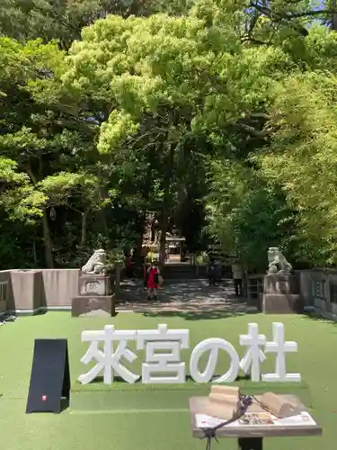 來宮神社(静岡県)