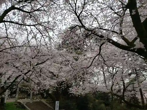 射水神社の自然