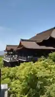 清水寺の{uncategorized: "未分類", other: "その他", undefined: "問題あり", building: "その他建物", grave: "お墓", sacred_gate: "鳥居", guardian: "狛犬", statue: "像", buddha: "仏像", history: "歴史", nature: "自然", garden: "庭園", animal: "動物", pagoda: "塔", temizu: "手水舎", mountain_gate: "山門・神門", sanctuary: "本殿・本堂", subordinate: "末社・摂社", art: "芸術", scenery: "景色", jizo: "地蔵", ema: "絵馬", goshuin: "御朱印", omikuji: "おみくじ", items: "授与品その他", amulet: "お守り", goshuincho: "御朱印帳", eats: "食事", festival: "お祭り", votive_dance: "神楽", shichigosan: "七五三参", wedding: "結婚式", experience: "体験その他", initially: "初詣", around: "周辺", anti_infection: "感染症対策"}