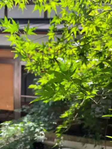 高木山 正法寺の庭園