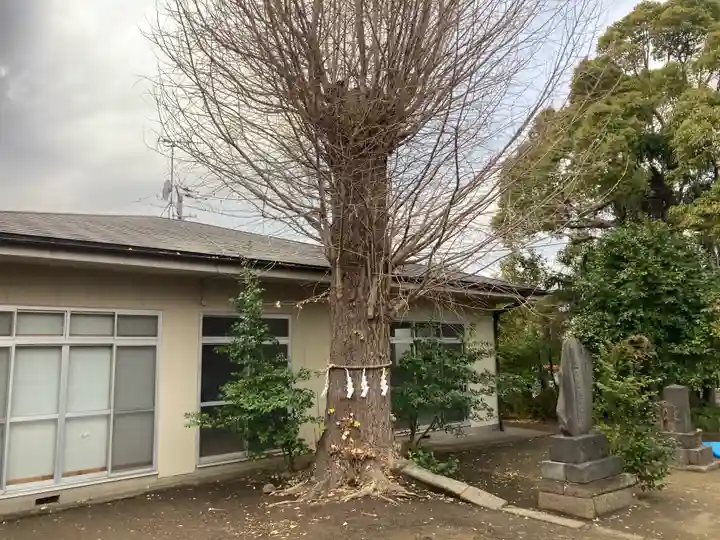 天満宮(神奈川県)