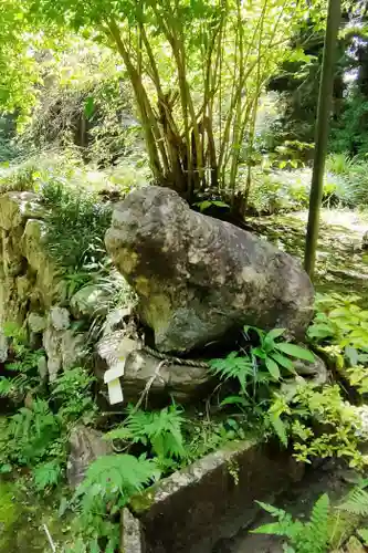 花園神社の狛犬