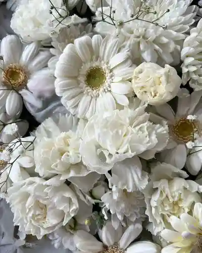 札幌諏訪神社の手水舎