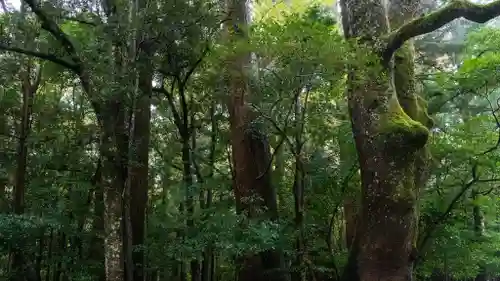 伊勢神宮内宮（皇大神宮）(三重県)