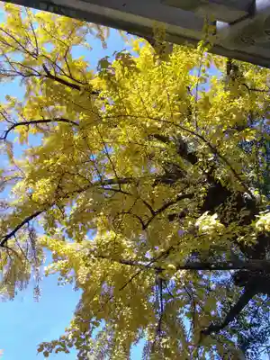 闇之森八幡社(愛知県)