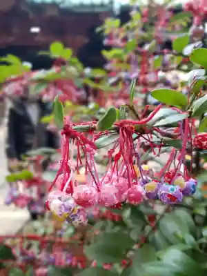 赤坂氷川神社(東京都)