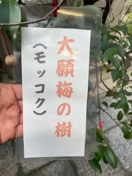 錦天満宮(京都府)