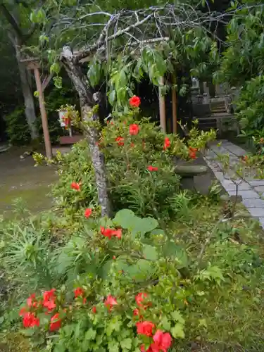 安國論寺（安国論寺）の庭園