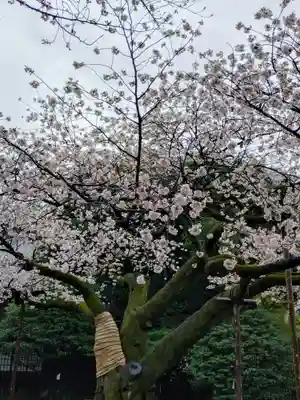 靖國神社(東京都)