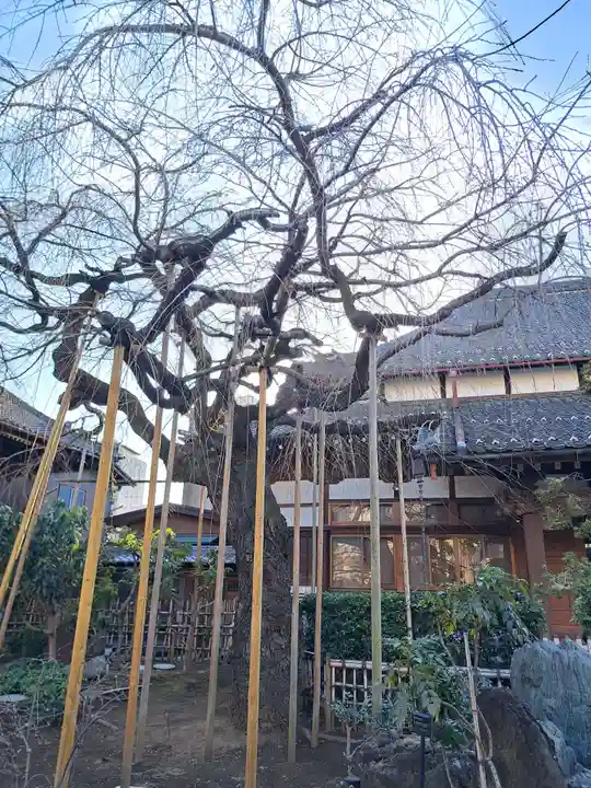 玉蔵院(埼玉県)