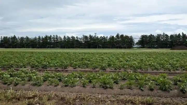 平和神社の景色