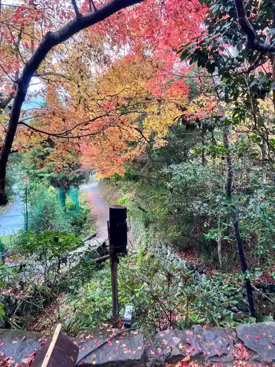 宝泉院(京都府)