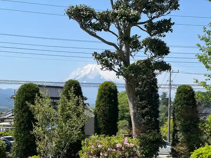 光明寺(静岡県)