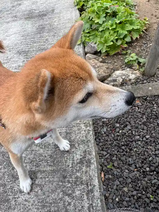 大鏑神社(福島県)