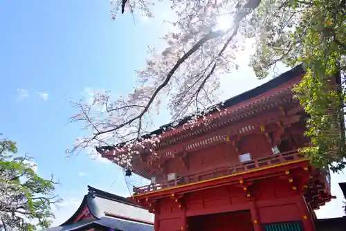 富士山本宮浅間大社(静岡県)