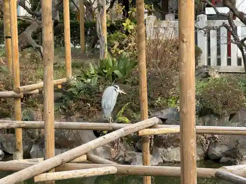 亀戸天神社(東京都)