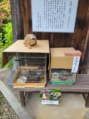 観音寺(京都府)