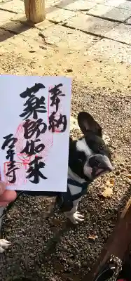 石手寺の御朱印