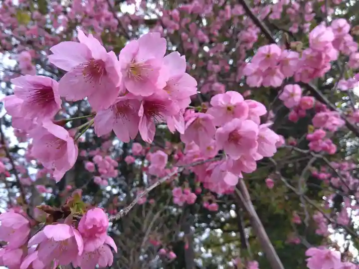 大社神社(愛知県)