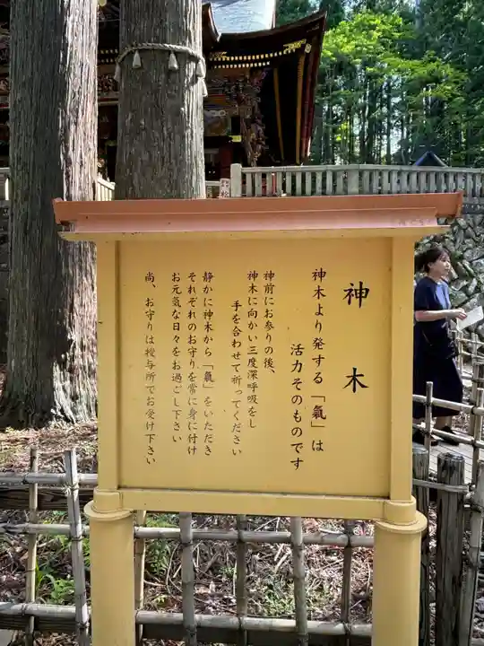 三峯神社(埼玉県)