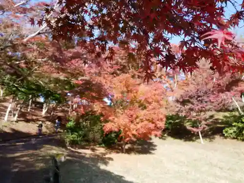 葭原観音堂の自然