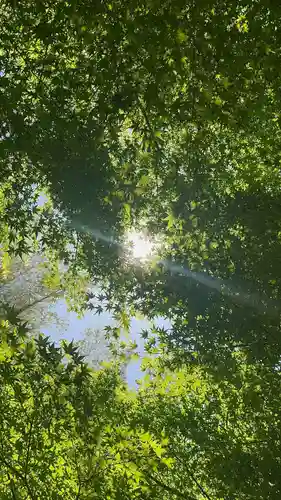大雲寺(京都府)