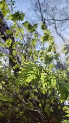 相馬神社(北海道)