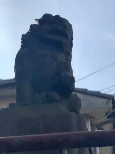 石川町諏訪神社の狛犬