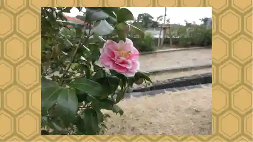 宇治神社(京都府)