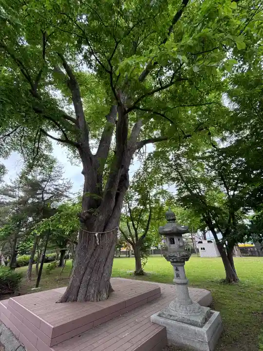 当別神社(北海道)