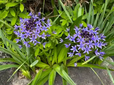福山八幡宮(広島県)