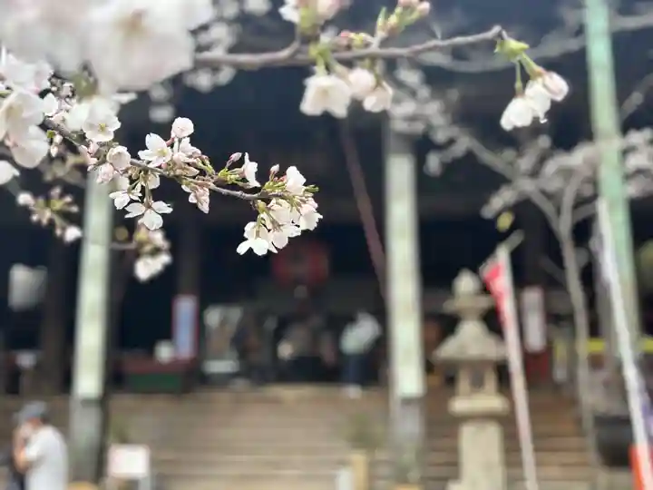 金剛宝寺(紀三井寺)(和歌山県)